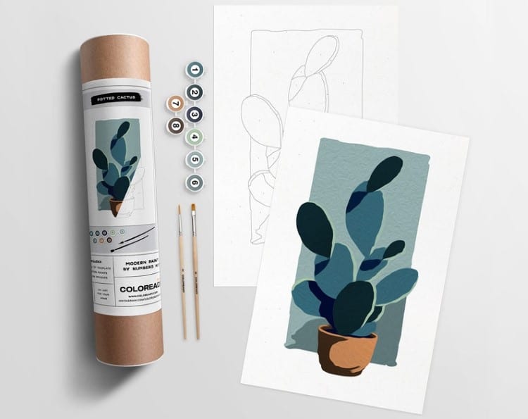 Cactus Paint by Numbers Kit