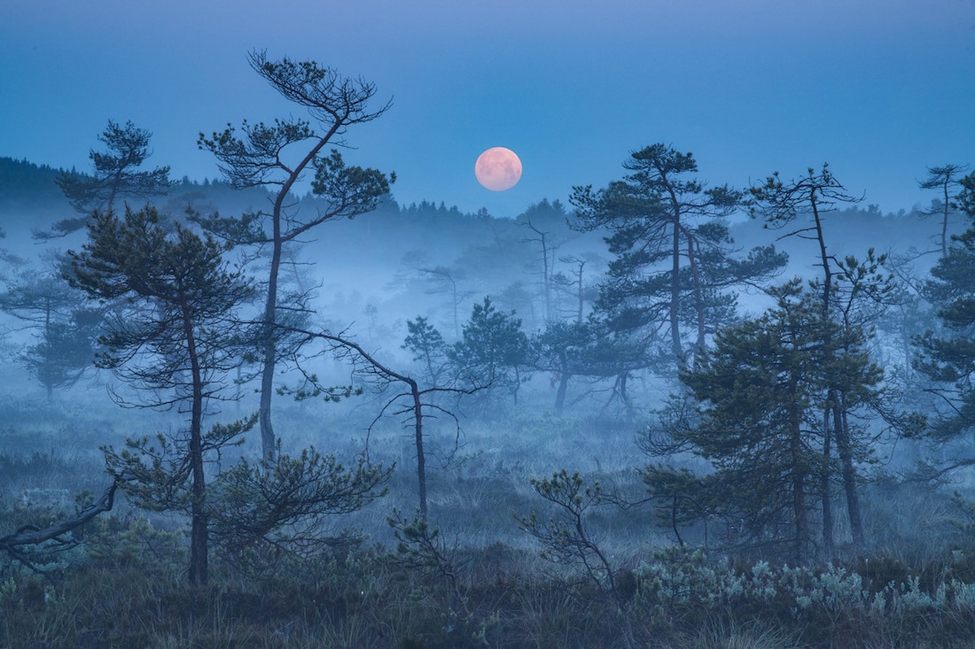 Blue Landscape Photos Capture the Beauty of Nature's Hour