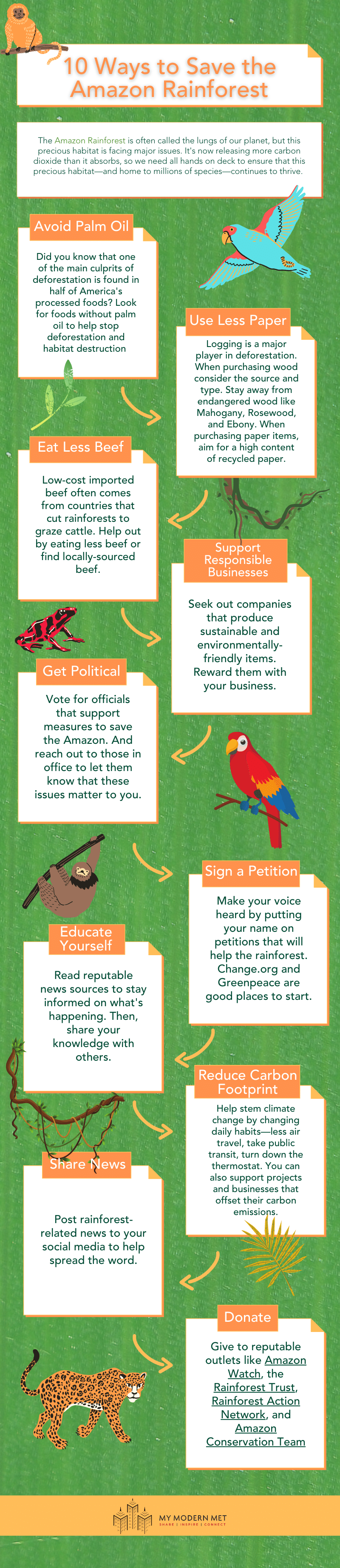 Save the Amazon Rainforest Infographic