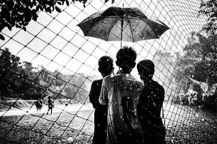 Children in the Rain Under an Umbrella by Alan Schaller