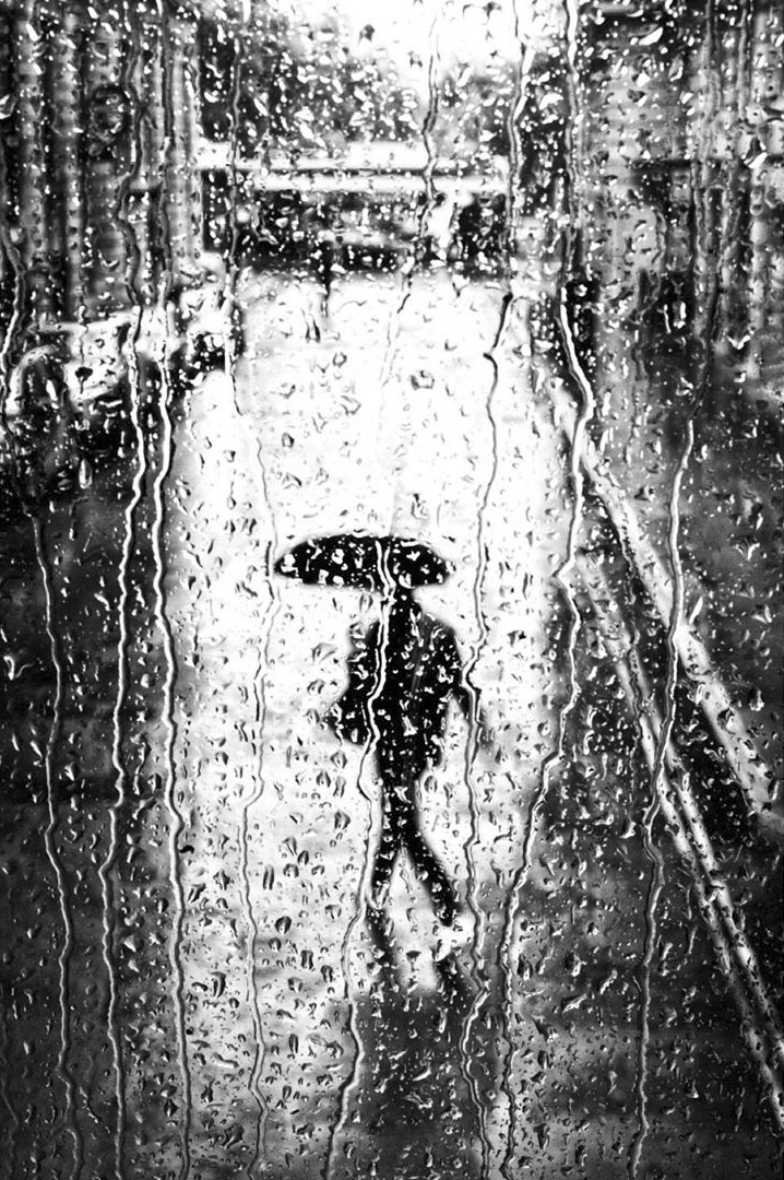 Walking in the Rain with an Umbrella by Alan Schaller