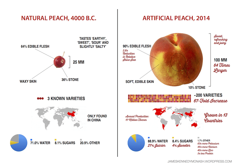 Evolution of the Peach