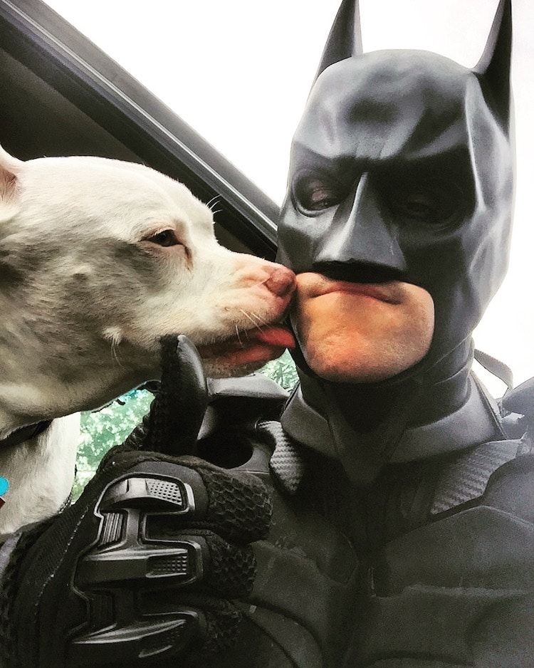 Batman4Paws rescate de animales