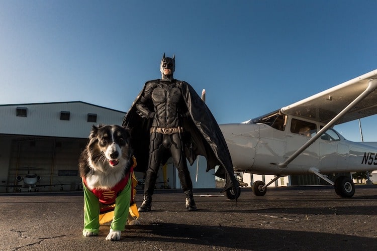 Batman4Paws Animal Rescue