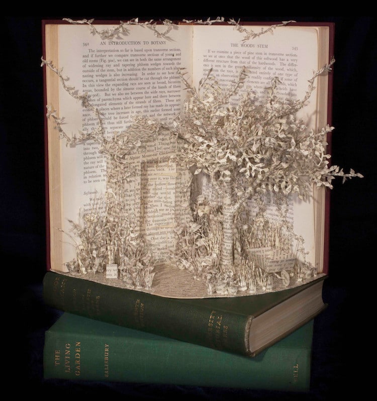 Esculturas con libros de Emma Taylor