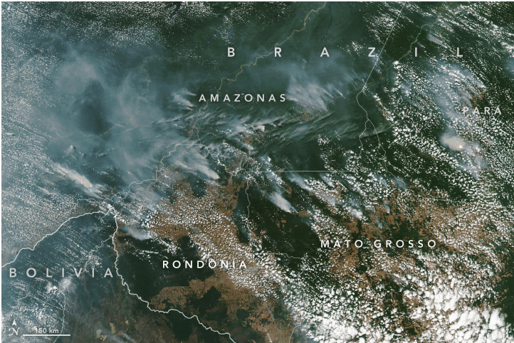 Brazil Amazon Fires NASA Satellite
