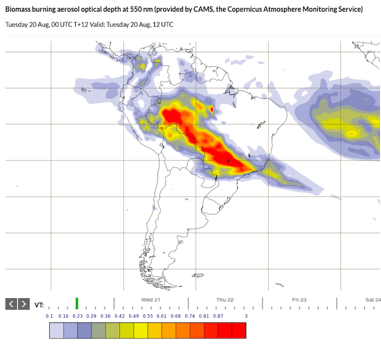 Satellite Information about the Brazilian Amazon Fires