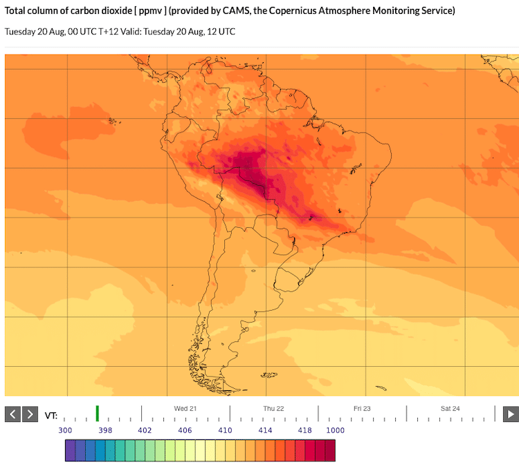 Satellite Information about the Brazilian Amazon Fires