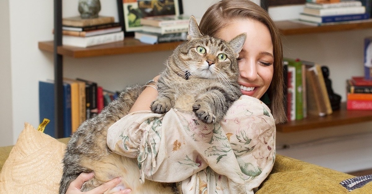 How Portraits of Women and Cats Break the 