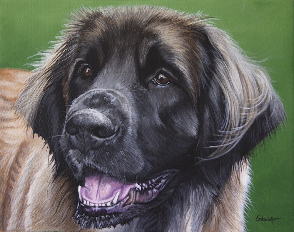 Commissioned Dog Portrait by Studio Eriksdotter