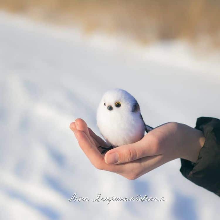 Felted Animals by Anna Yastrezhembovskaya