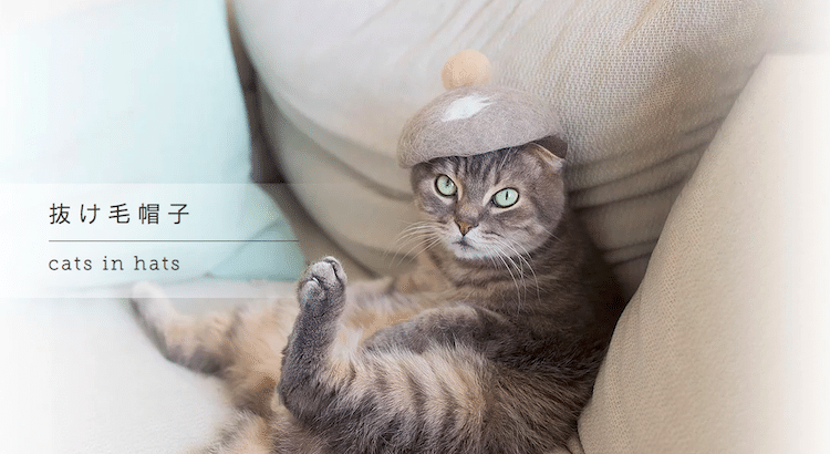 Cats Celebrating Make a Hat Day with Adorable Hats