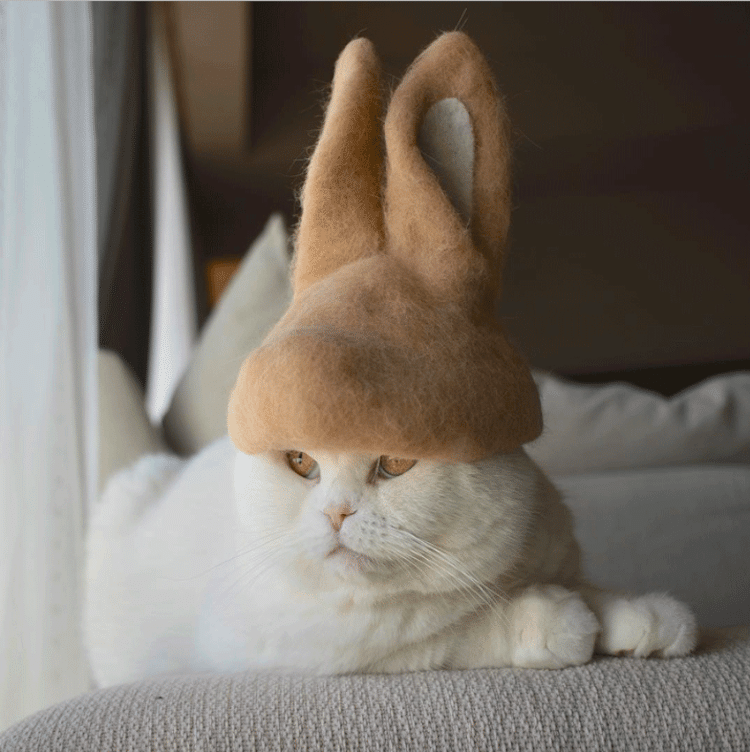 Pet Owners Craft Creative Cat Hats Out of Their Own Excess Fur