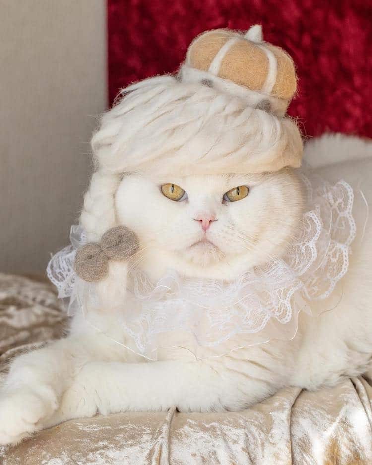 Cat Hats Made of Hair by Ryo Yamazaki