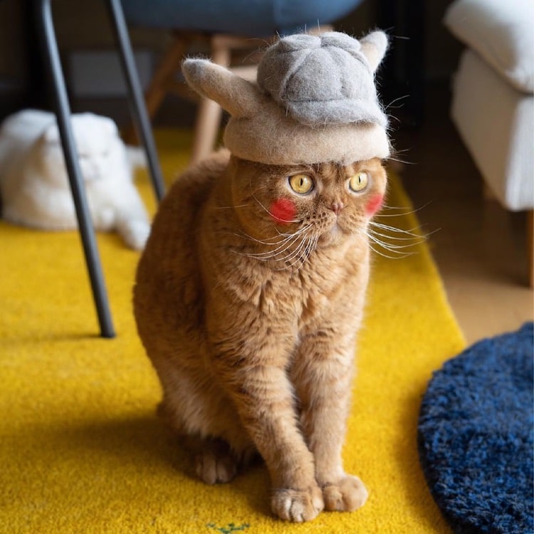 Cat Hats Made of Hair by Ryo Yamazaki