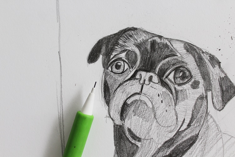 como dibujar un perro