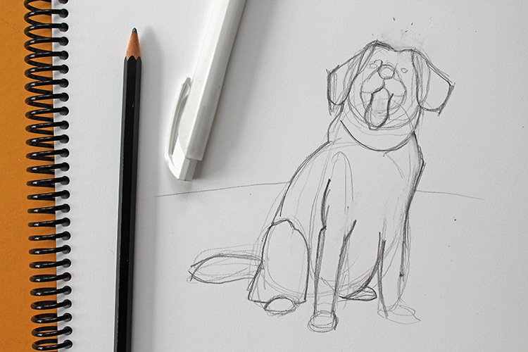 Aprende cómo dibujar un perro en cinco sencillos pasos