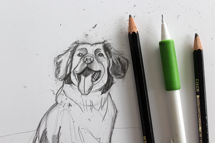 como dibujar un perro