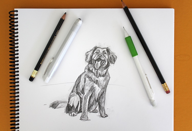 como dibujar un perro