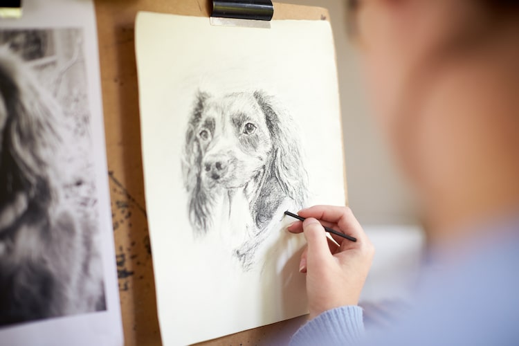 Step by step to draw a Dog. Drawing tutorial a Dog. Drawing lesson