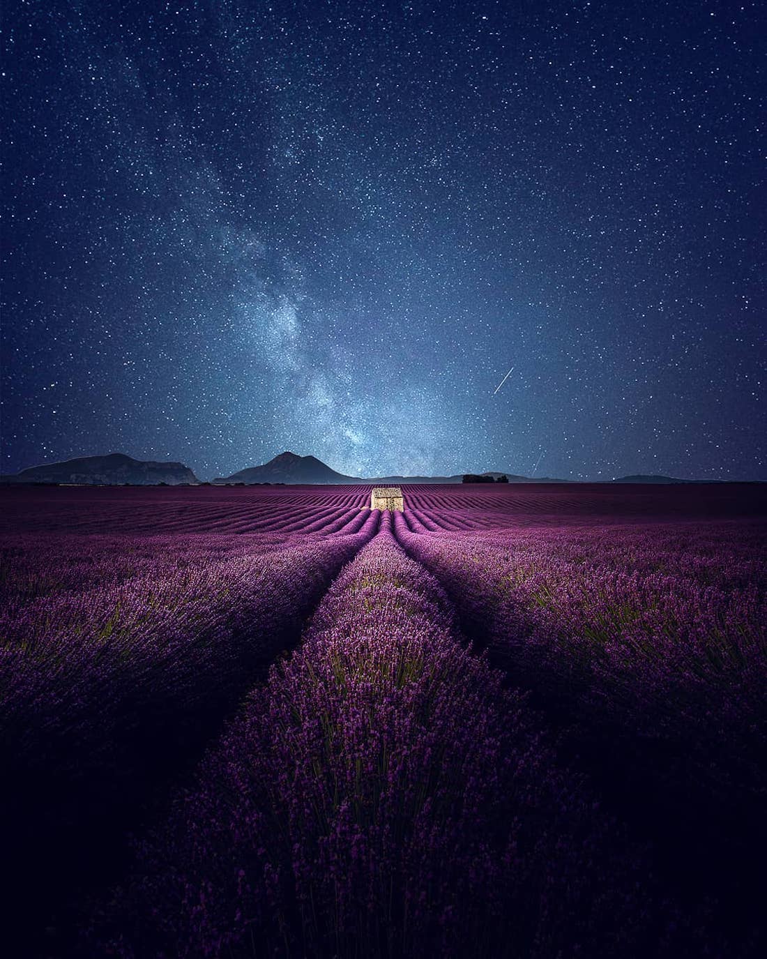 Aerial Photos of Lavender Field