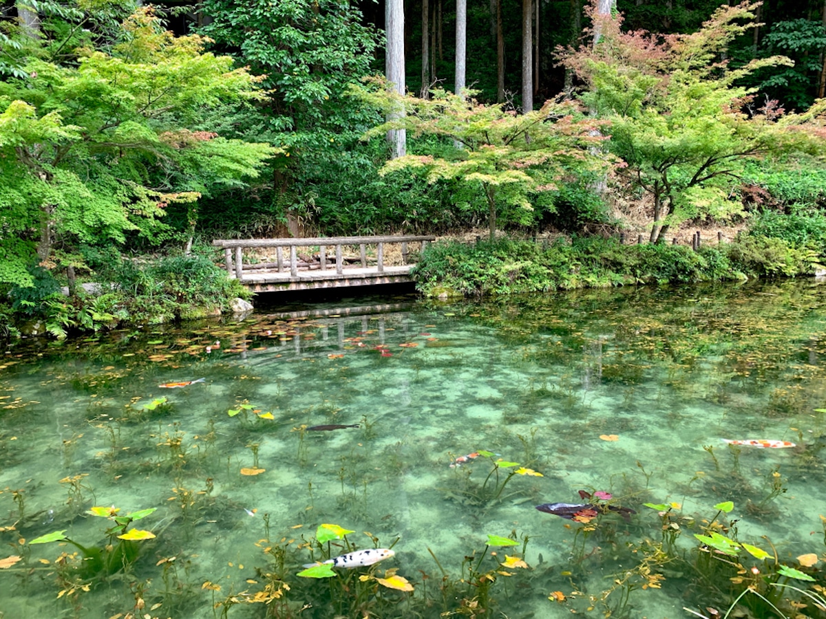 Estanque de Monet en Gifu