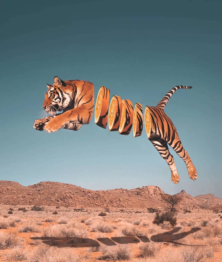 Photo Manipulation Art Animals by Ronald Ong