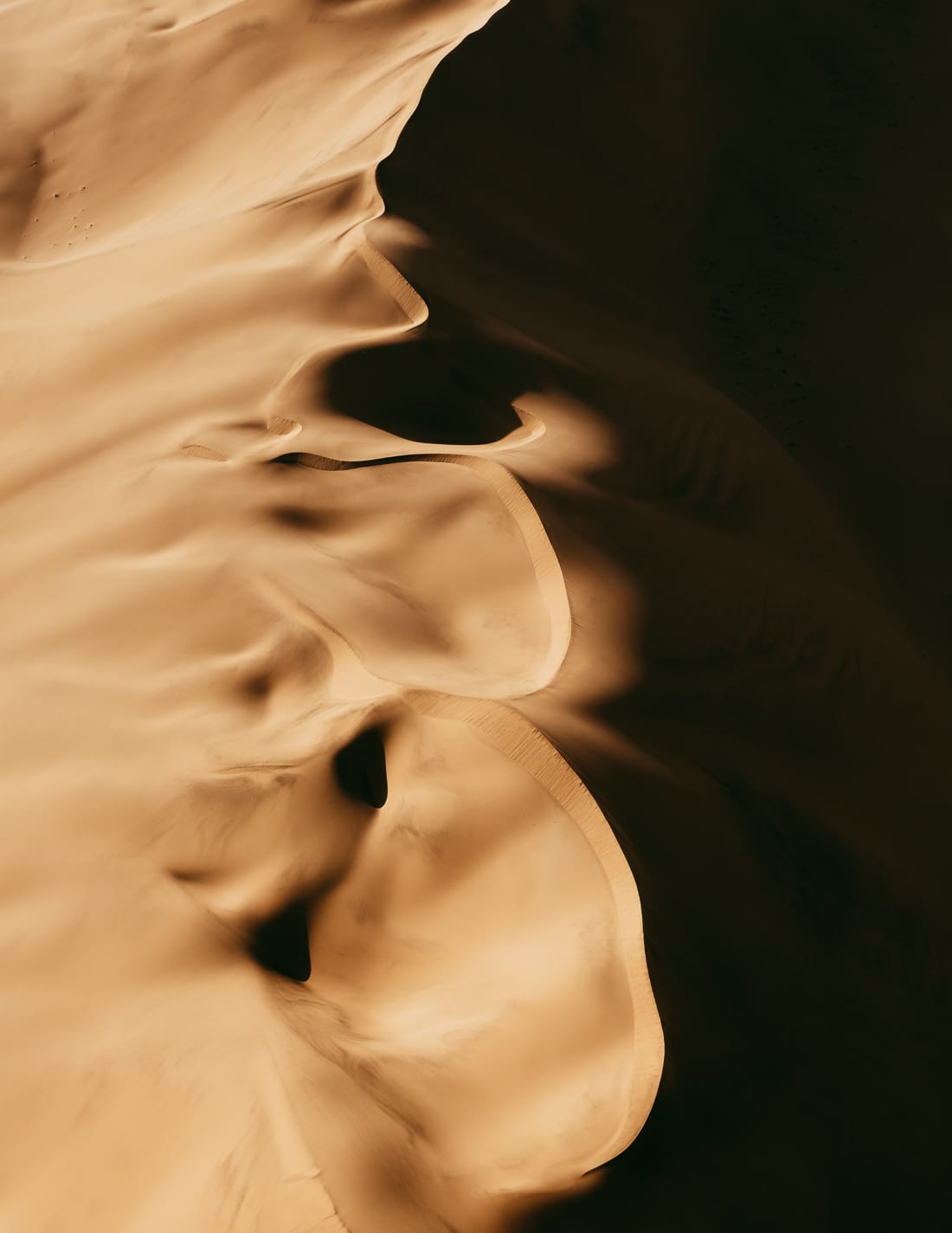 Fotos de dunas de arena del desierto