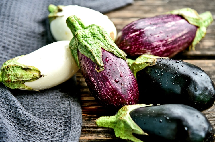 Eggplant Varieties