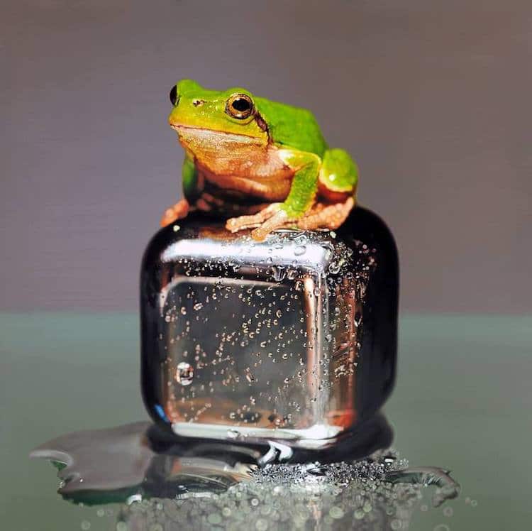 Photorealistic Painting of a Frog