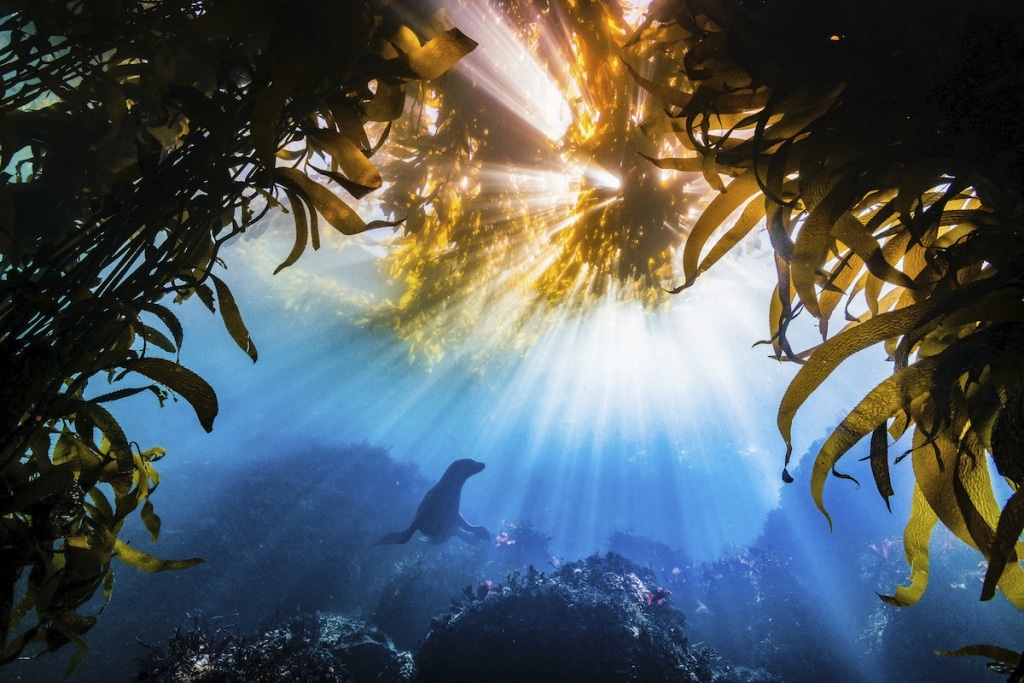 Winners of the 2019 Nature Conservancy Photo Contest