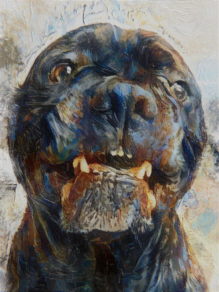 Pet Paintings by Art in a Sec