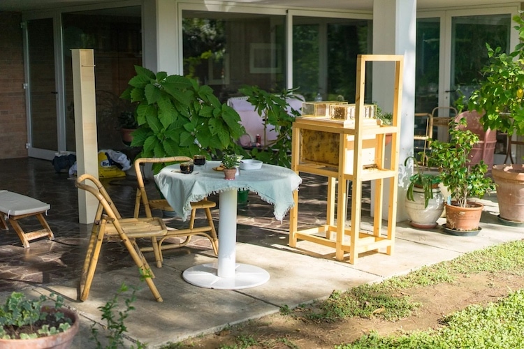 Modern Beekeeping Equipment