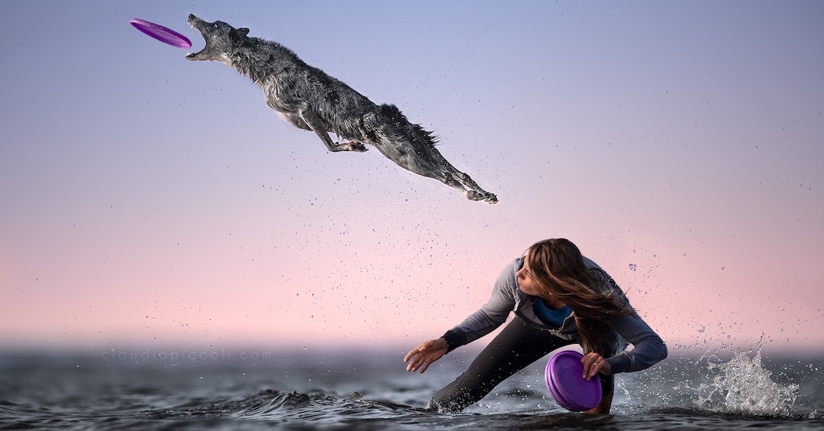 Gravity-Defying Photos of Determined Dogs Catching Frisbees in Mid-Air