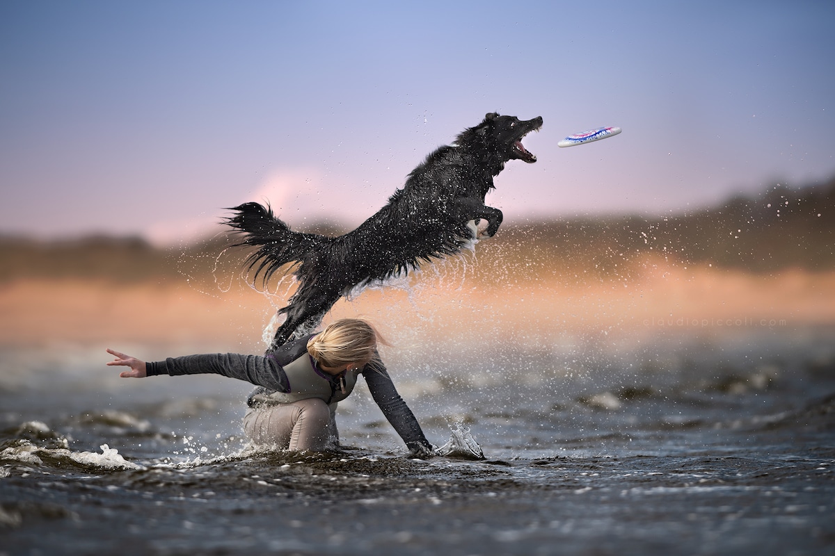 Photographie de chiens en plein vol par Claudio Piccoli