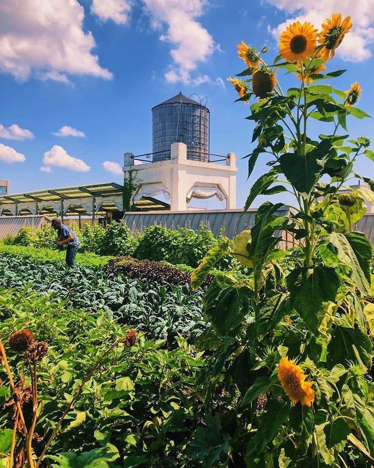 Climate Week NYC 2019