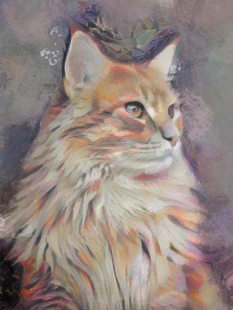 Custom Cat Portrait