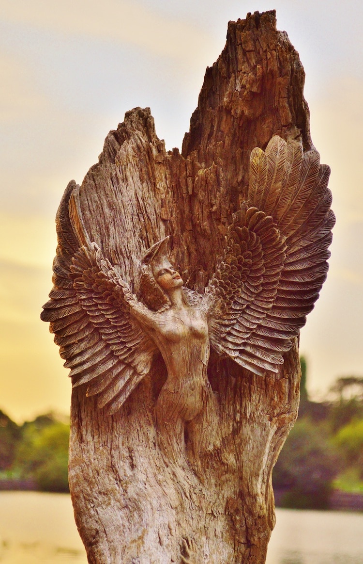 Driftwood Art by Debra Bernier