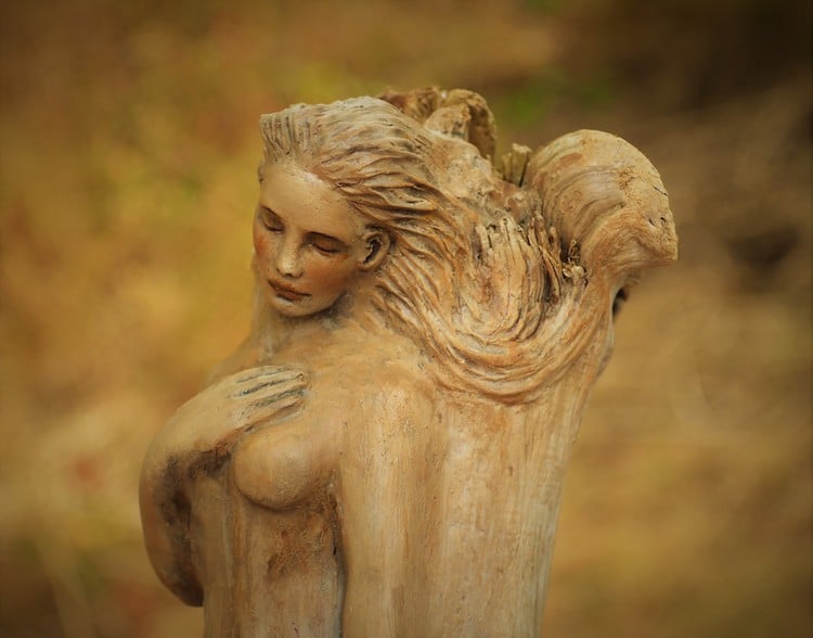 Driftwood Sculpture by Debra Bernier