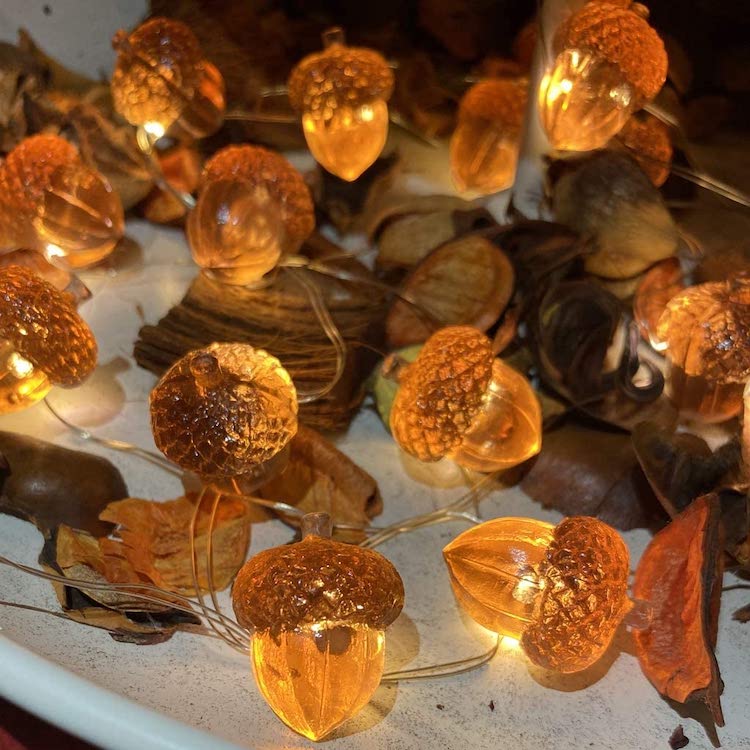 Decorative Acorn Twinkle Lights