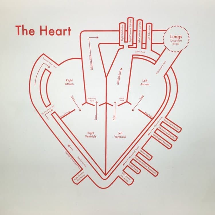 Diagram of a Heart