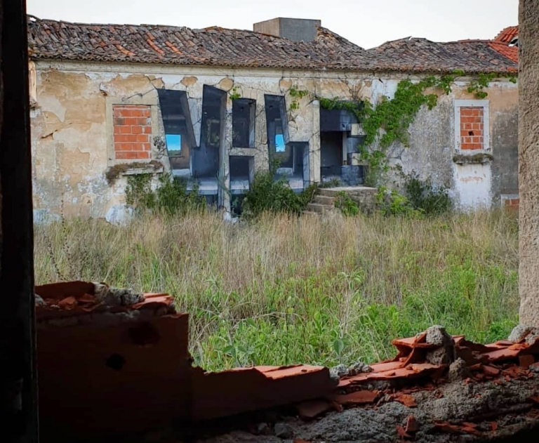 Impressive Painted Illusions by Portuguese Graffiti Artist Vile