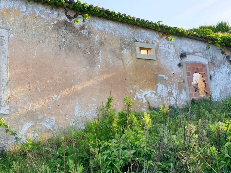 Impressive Painted Illusions by Portuguese Graffiti Artist Vile