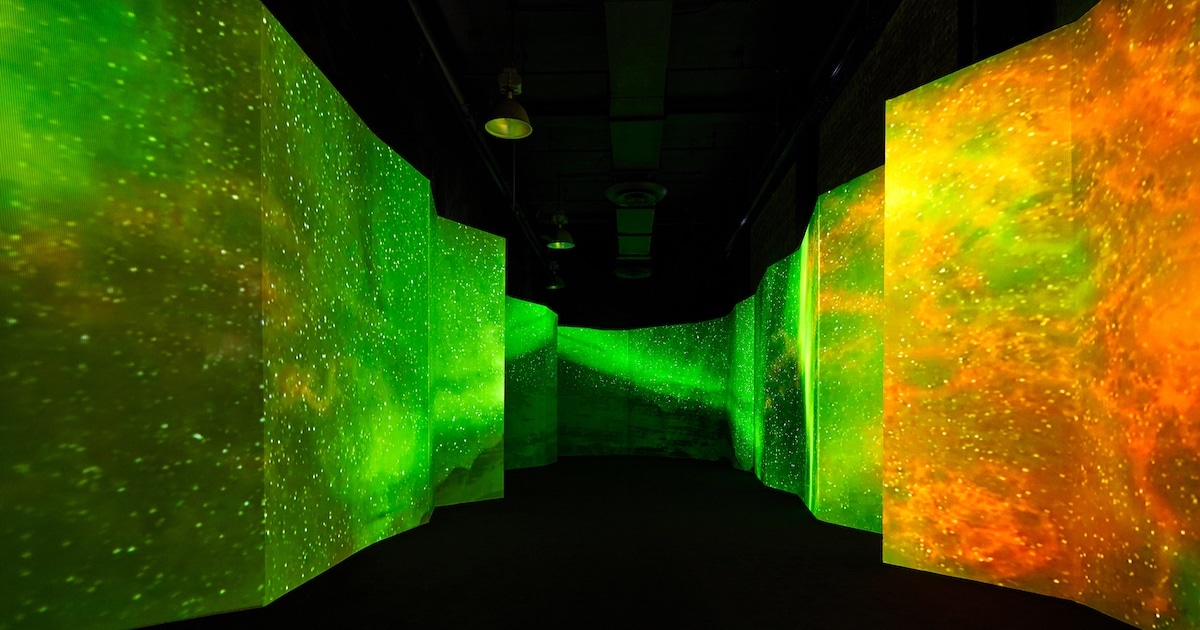 Leading Environmental Artists Created Immersive Experience in NYC