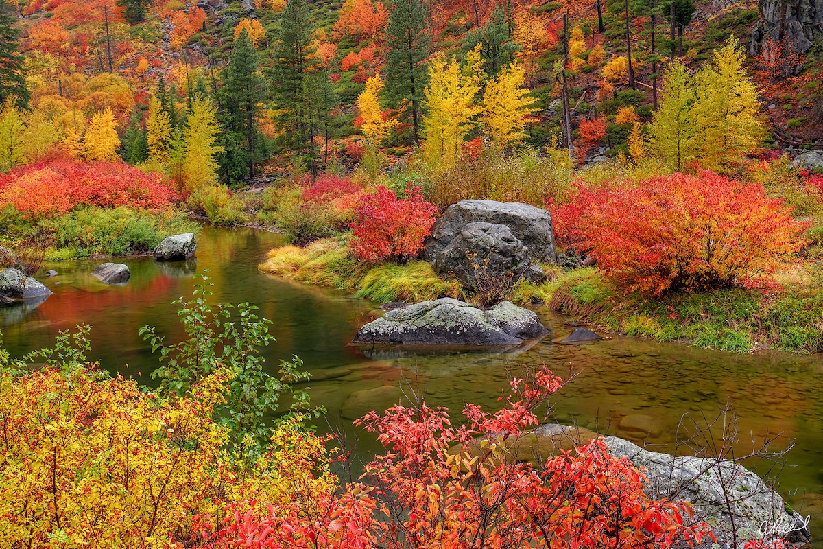 Nature Photograph by Aaron Reed