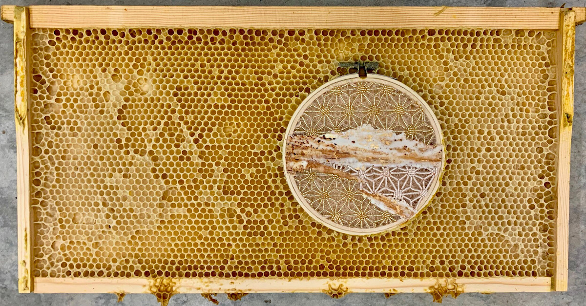 Art mixte par Ava Roth et ses abeilles