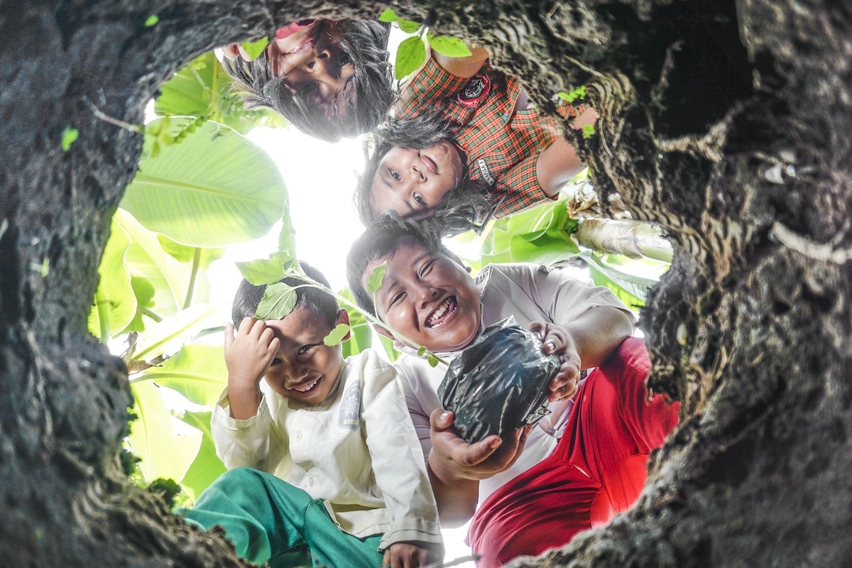 Niños plantando un árbol en la tierra