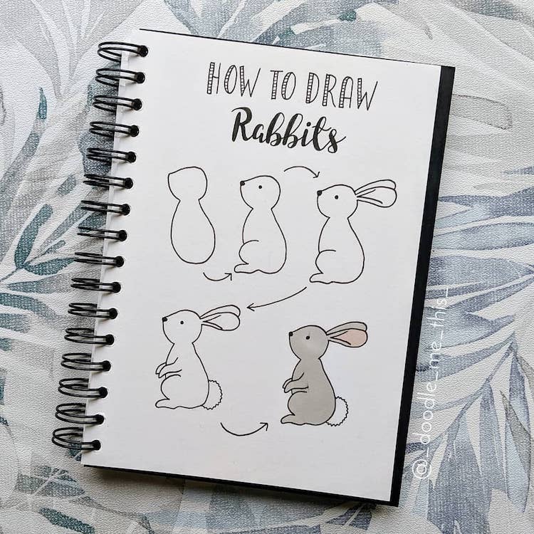 como dibujar un conejo