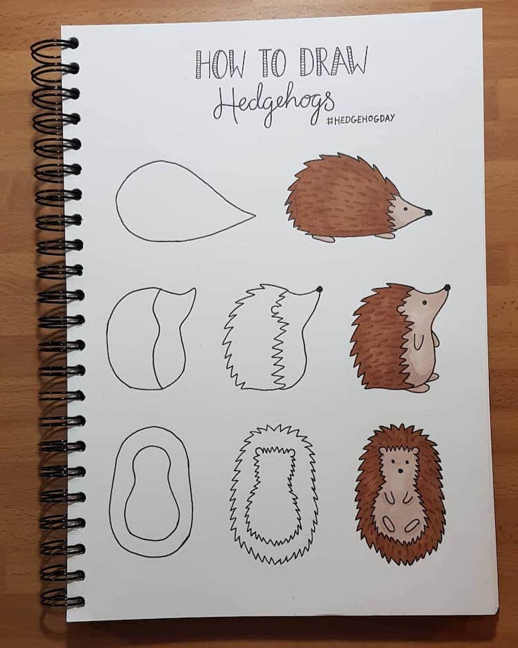 How to Doodle a Hedgehog