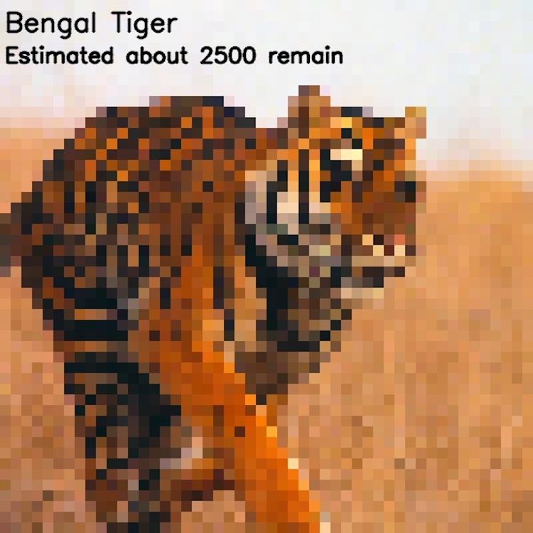 Endangered Species Pixelated Photos by JJSmooth44